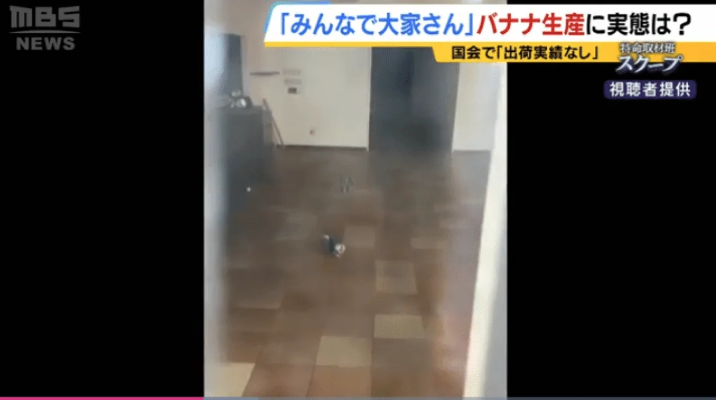 建物内は何もなくバナナを作っている様子もない。人も出入りしていないという