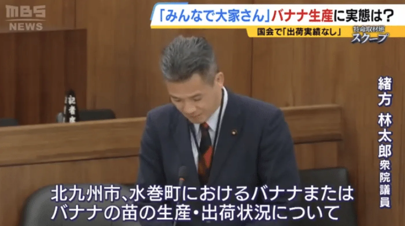 バナナの出荷状況を国会で確認